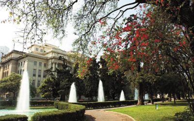 Os melhores locais para fazer fotos externas para casamento em Belo Horizonte